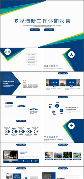 多彩商務(wù)通用工作總結(jié)匯報PPT