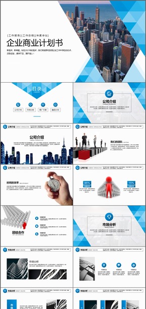 高端企業(yè)公司商業(yè)計(jì)劃書(shū)PPT