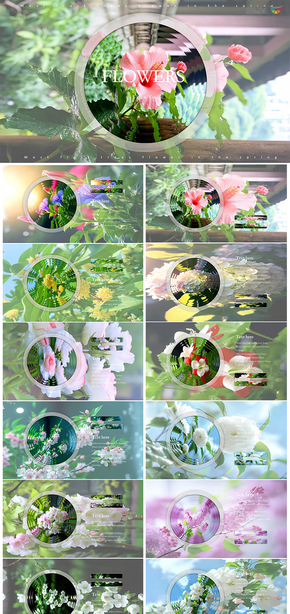  Color flower landscape picture ppt template