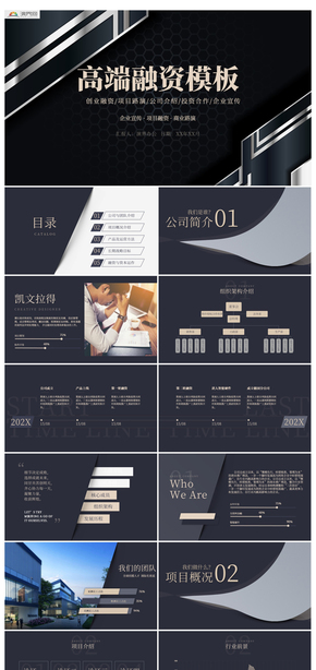 深色高端融資商業(yè)計(jì)劃書(shū)產(chǎn)品介紹PPT模板