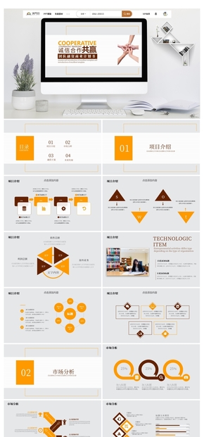 簡(jiǎn)約商業(yè)融資計(jì)劃書(shū)通用PPT模板