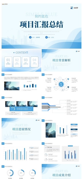 簡約項(xiàng)目匯報總結(jié)工作總結(jié)PPT模板