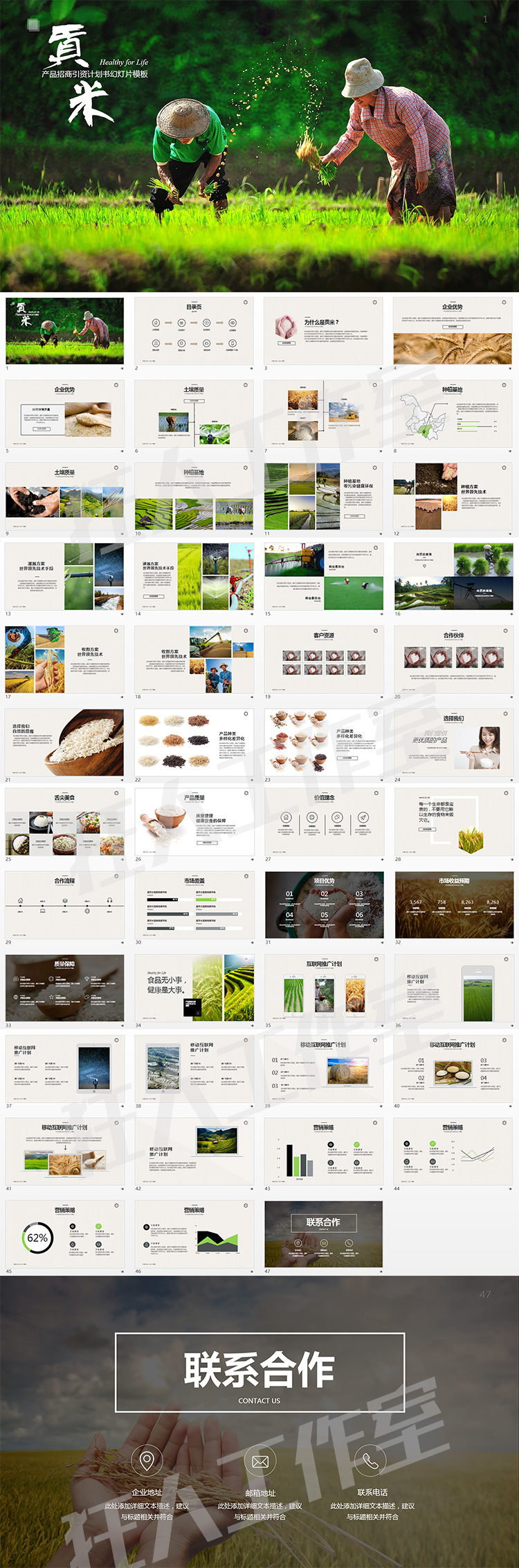 招商引資keynote模板五谷雜糧系列