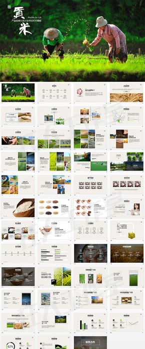 招商引資keynote模板五谷雜糧系列
