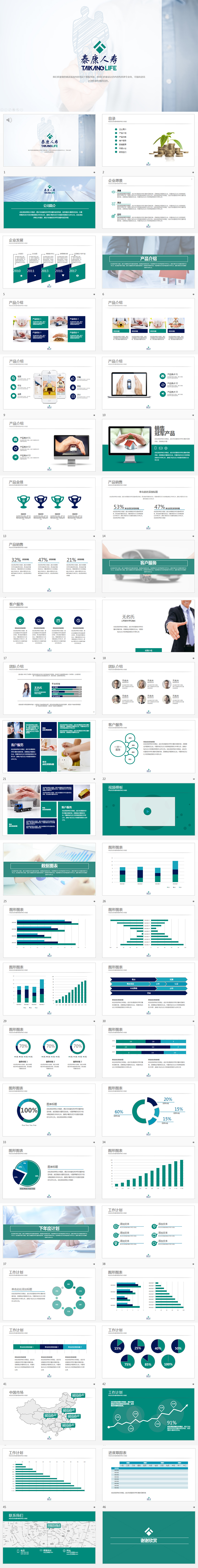 泰康人壽工作總結(jié)匯報(bào)PPT48頁(yè)