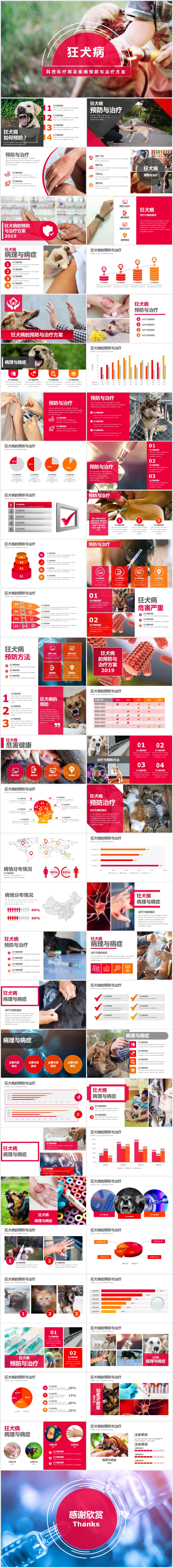 狂犬病疾病的預(yù)防與治療PPT模板