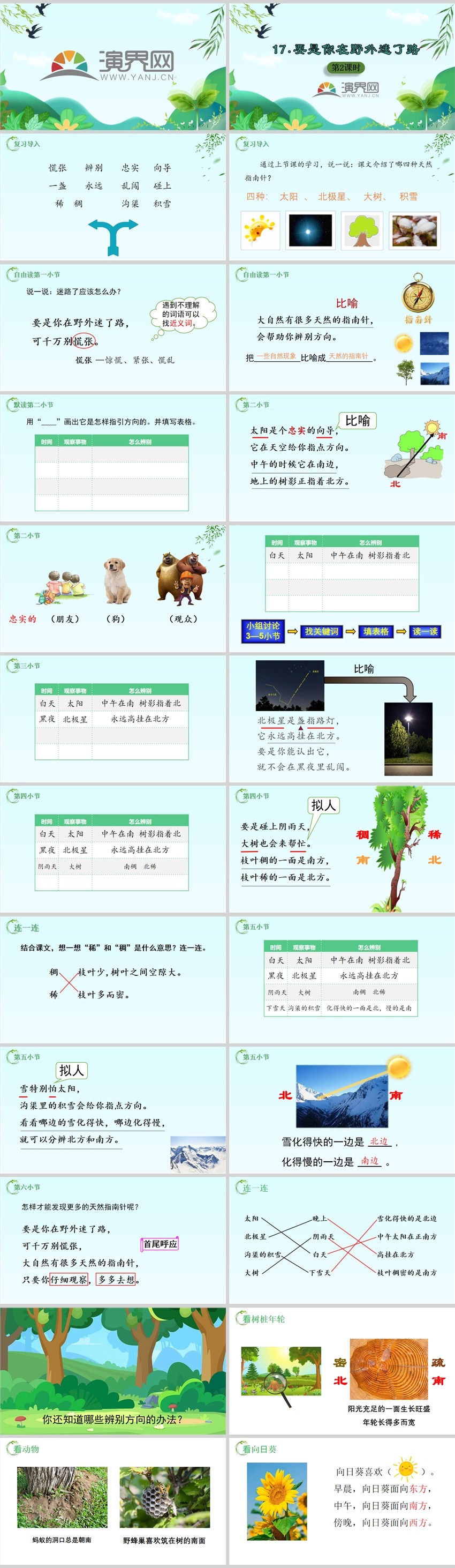 綠色清新語文二年級(jí)下冊要是你在野外迷了路第二課時(shí)公開課