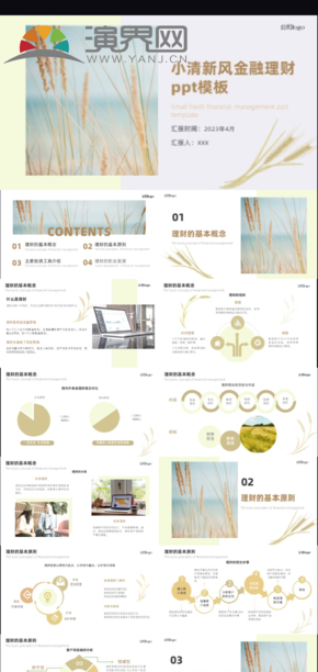  Light yellow small fresh wind financial management ppt template