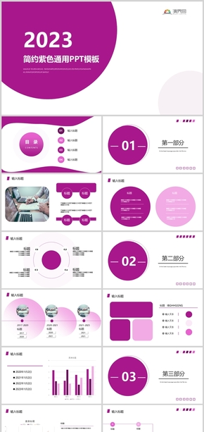 簡(jiǎn)約紫色通用PPT模板