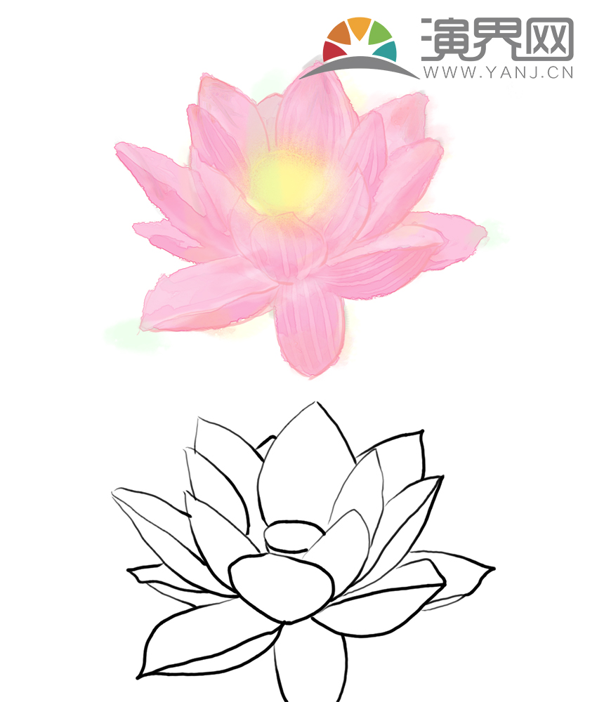 荷花免摳素材，帶線稿psd