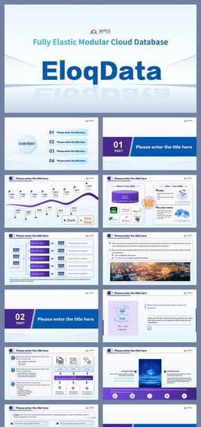  Industry analysis report PPT