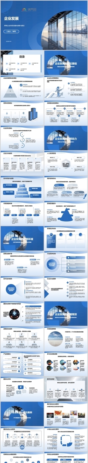 藍色企業(yè)發(fā)展PPT模板