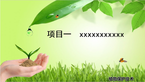 植物保護(hù)技術(shù)