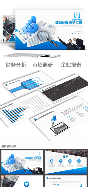 企事業(yè)財務分析數據統計市場調研總結計劃項目匯報PPT