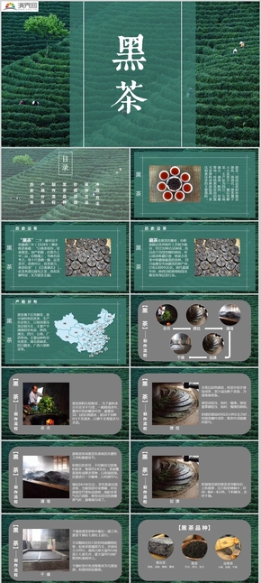 黑茶培訓茶藝師教學直接可用