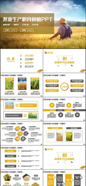 簡潔農業(yè)生產糧食種植招商農產品新農村建設PPT