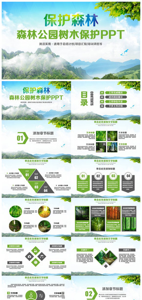 清新森林公園保護樹木保護森林PPT