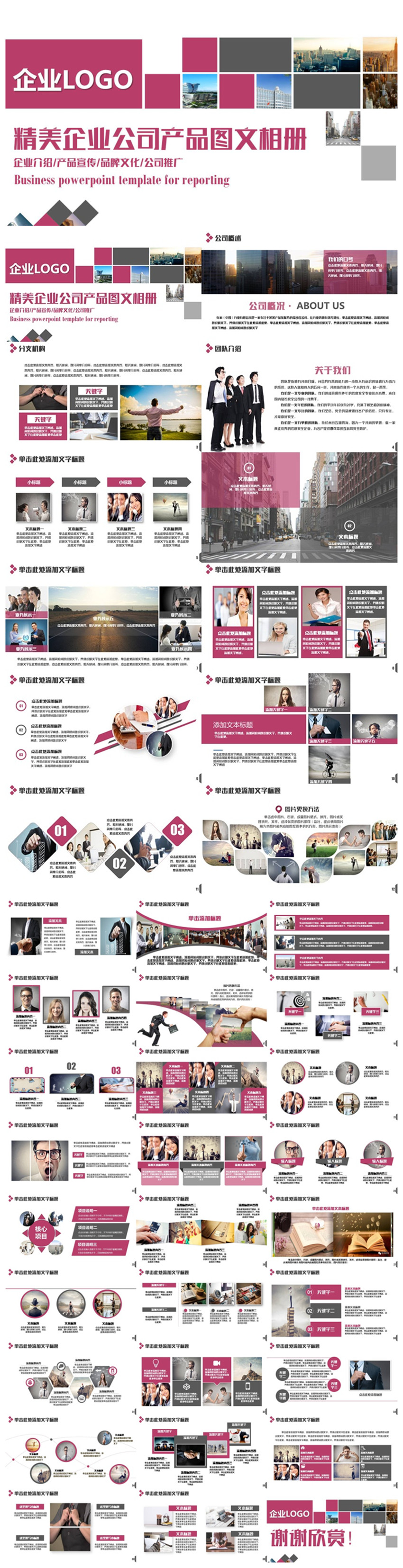 典雅精致公司相冊企業(yè)相冊產(chǎn)品宣傳公司推廣PPT