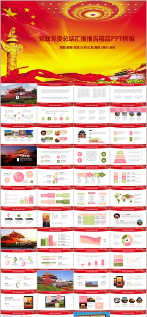 黨政黨委總結匯報報告精品PPT模板