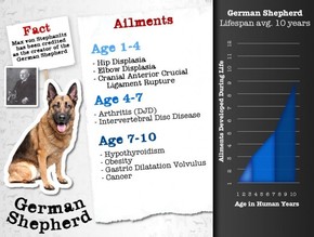 【演界信息圖表】infographic-large-dog-diseases