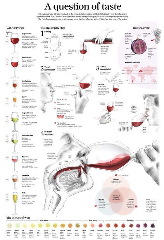 【演界信息圖表】紅酒 品嘗-wine-and-glasses-graph1