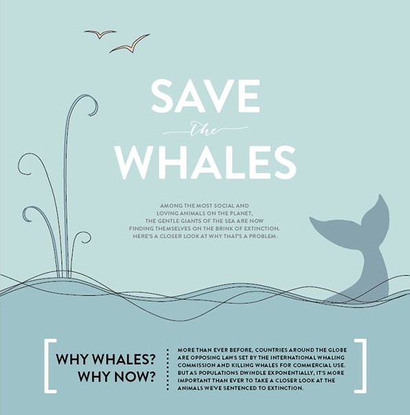我要定制 商品标签: 环境保护卡通手绘鲸鱼蓝色 模板类型: 静态模板