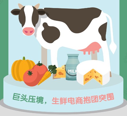 【演界信息圖表】扁平化風(fēng)格-巨頭壓境，生鮮電商抱團(tuán)突圍