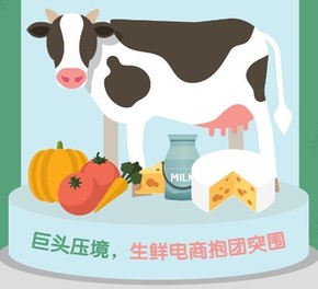 【演界信息圖表】扁平化風(fēng)格-巨頭壓境，生鮮電商抱團(tuán)突圍