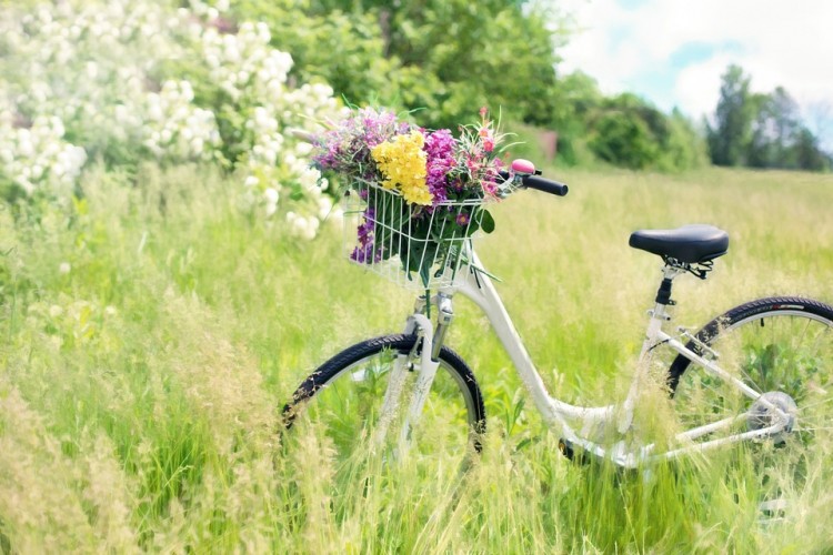 【图片分享计划】文艺 小清新 鲜花 自行车