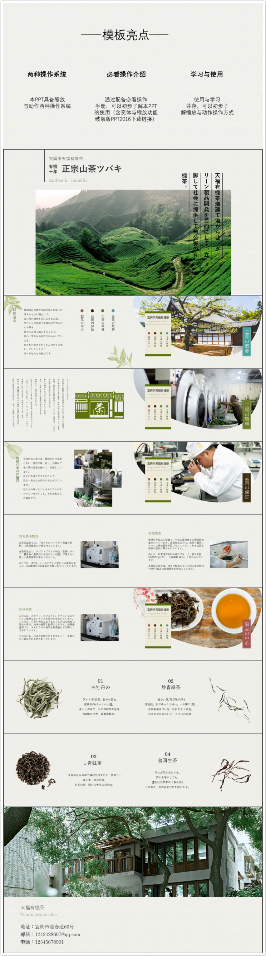 紙黃色簡潔風(fēng)格茶店/茶產(chǎn)品宣傳PPT模板