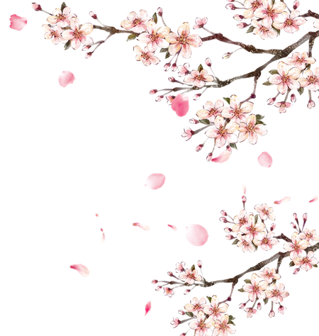 桃花 桃花 桃花