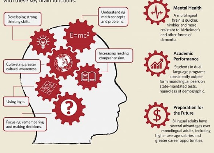 【演界信息图表】掌握双语对大脑的好处