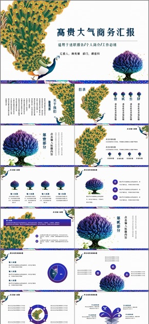 【孔雀】高貴大氣商務匯報通用模板