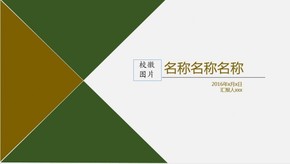 論文答辯、商業(yè)演示模版