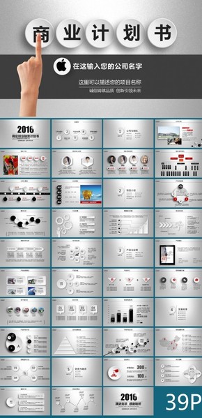 簡約大氣的商業(yè)創(chuàng)業(yè)融資計劃書PPT