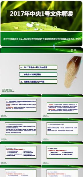 2017中央1號文件解讀/關于深入推進農(nóng)業(yè)供給側結構性改革加快培育農(nóng)業(yè)農(nóng)村發(fā)展新動能的若干意見