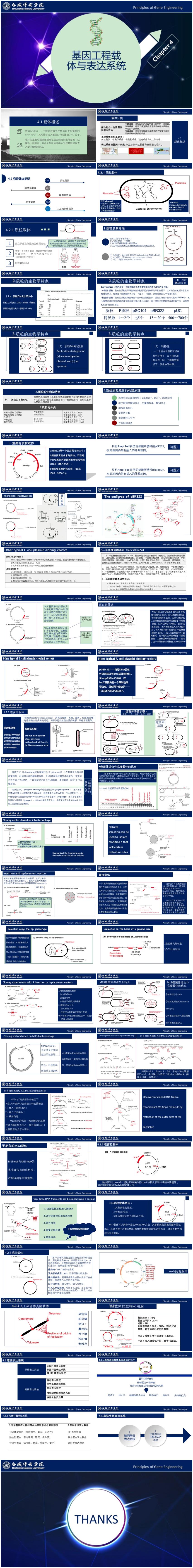 基因工程原理與技術-第4章-載體與表達系統(tǒng)