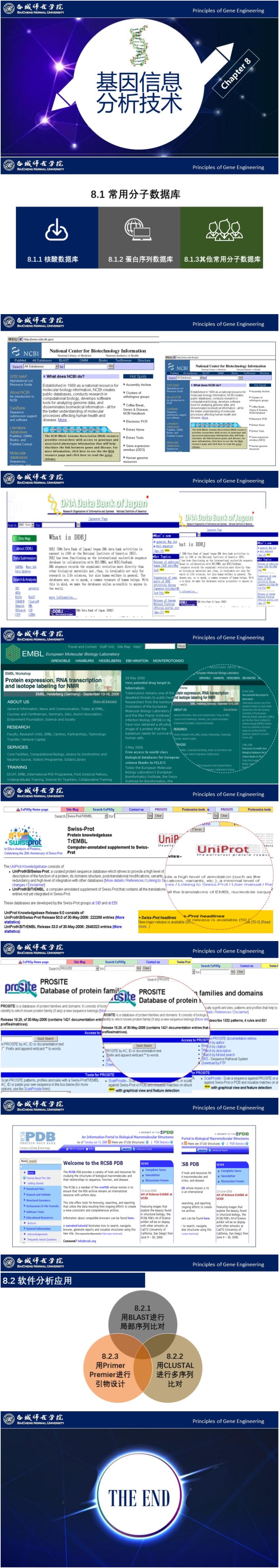 基因工程原理與技術(shù)-第8章-基因信息分析技術(shù)