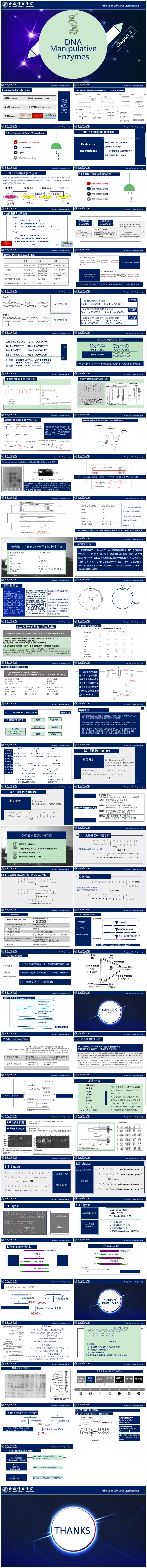 基因工程原理與技術(shù)-第3章-核酸酶