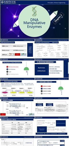 基因工程原理與技術(shù)-第3章-核酸酶