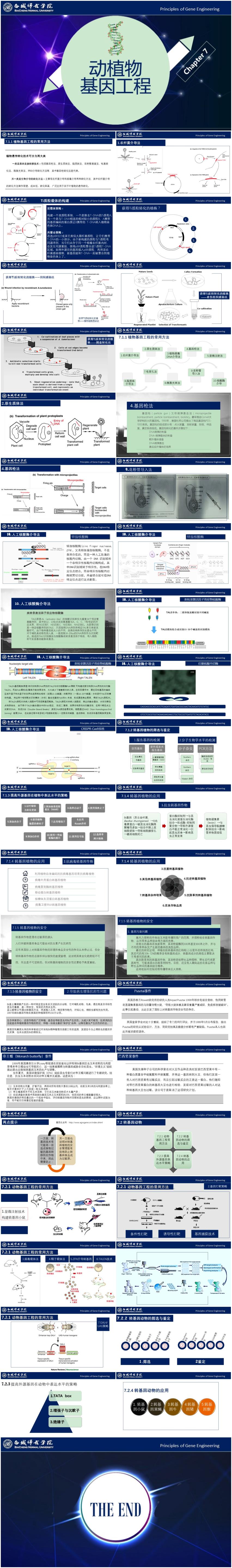 基因工程原理與技術(shù)-第7章-轉(zhuǎn)基因動(dòng)植物