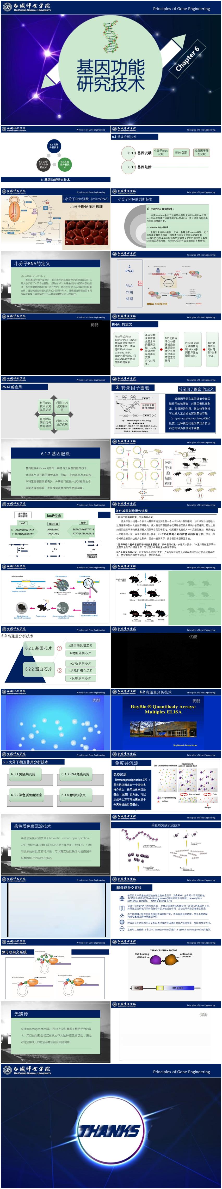 基因工程原理與技術(shù)-第6章-基因功能研究技術(shù)