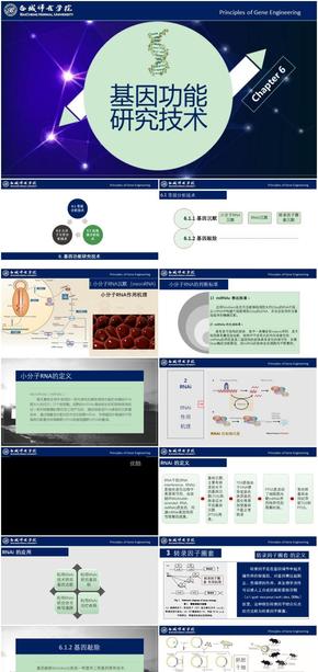 基因工程原理與技術-第6章-基因功能研究技術