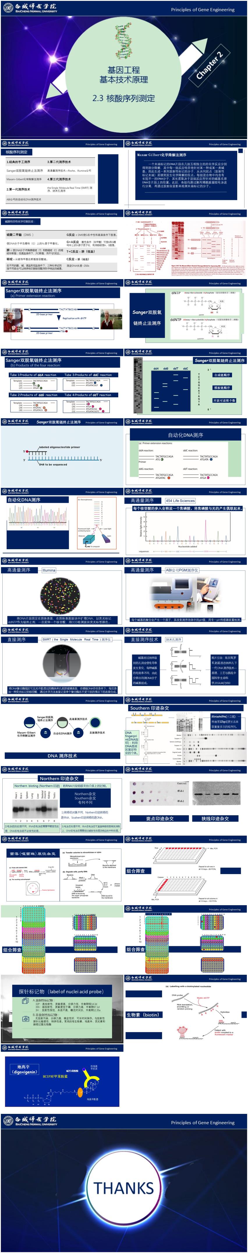 基因工程原理與技術-第2章-2.3-核酸序列測定