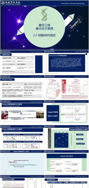 基因工程原理與技術-第2章-2.3-核酸序列測定