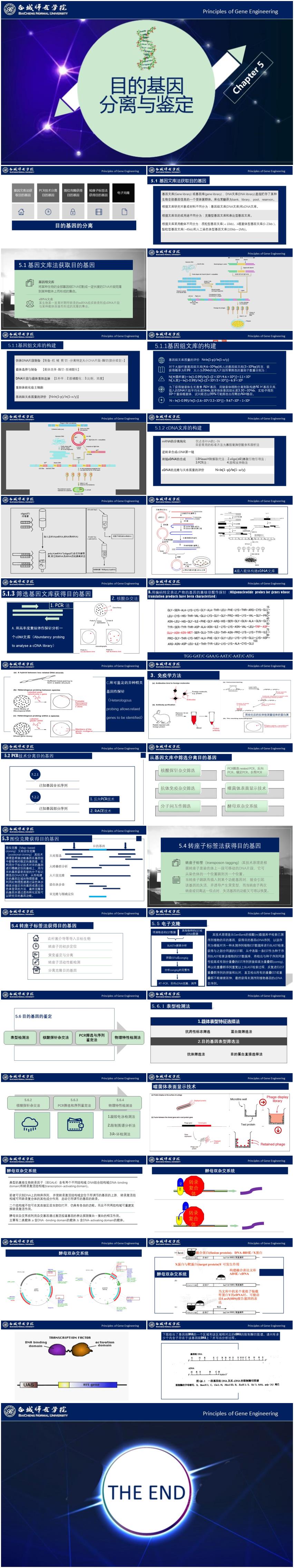 基因工程原理與技術(shù)-第5章-目的基因分離與鑒定