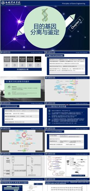 基因工程原理與技術-第5章-目的基因分離與鑒定