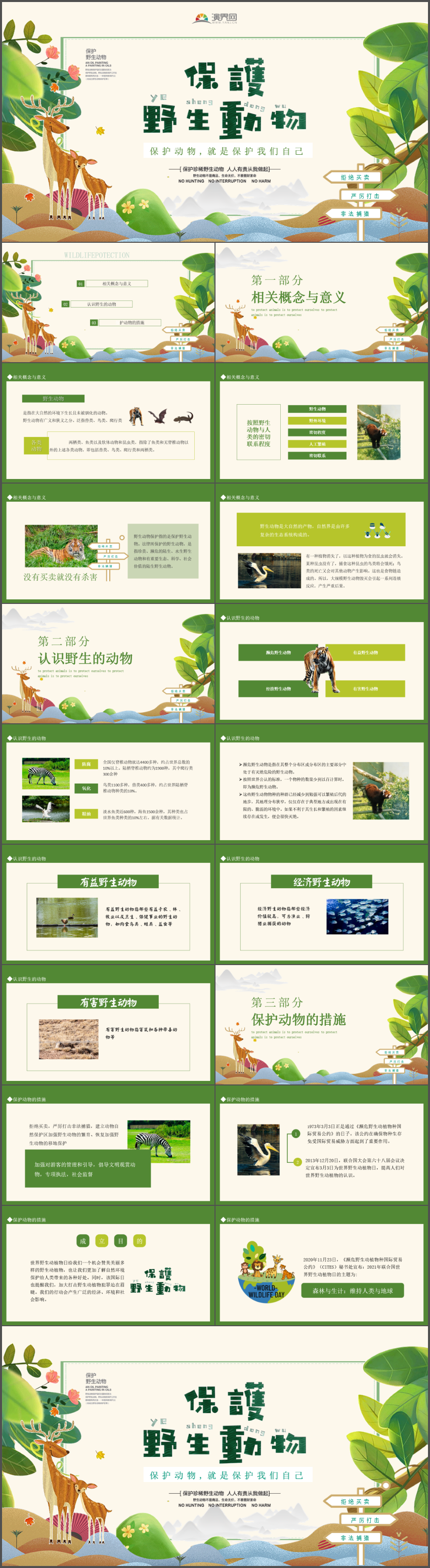 保護(hù)野生動物就是保護(hù)我們自己動態(tài)PPT課件