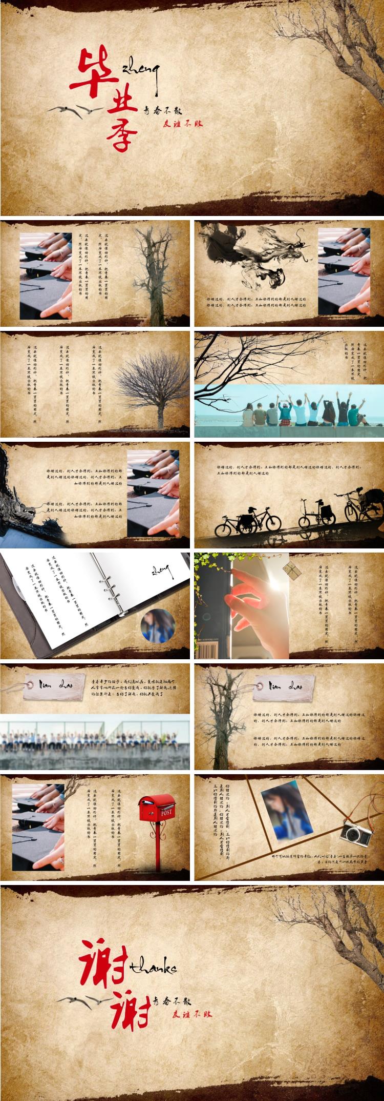 古風(fēng)致青春通用模版