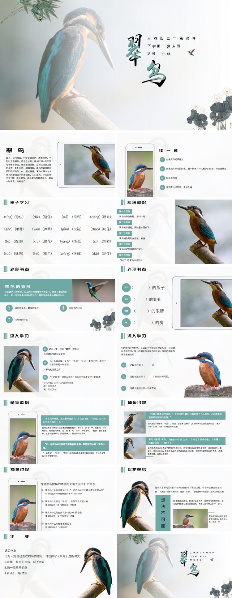 人教版三年級第五課翠鳥PPT課件